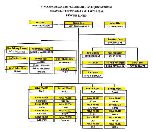 Struktur Organisasi Desa
